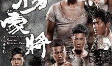 忠烈杨家将国语在线观看,再现民族英雄的英勇事迹，在线观看重温家国情怀