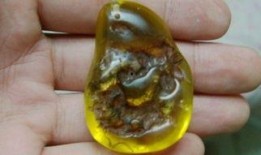 琥珀在线观看,穿越时空的视觉盛宴